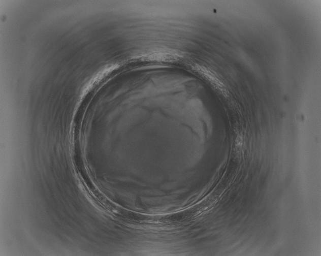 X0000082680678200702091633