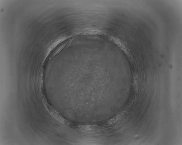 X0000082680679200702091633