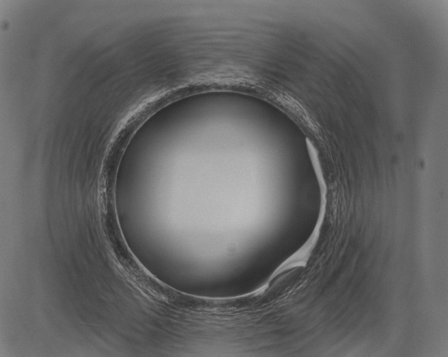 X0000082680680200702091633