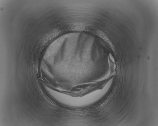 X0000082680681200702091633