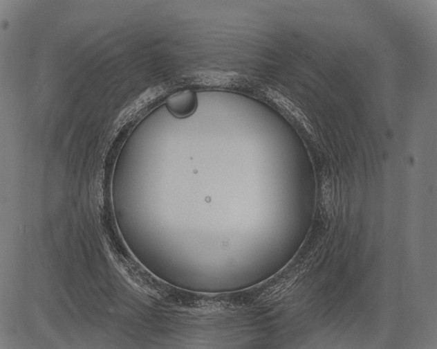 X0000082680682200702091633