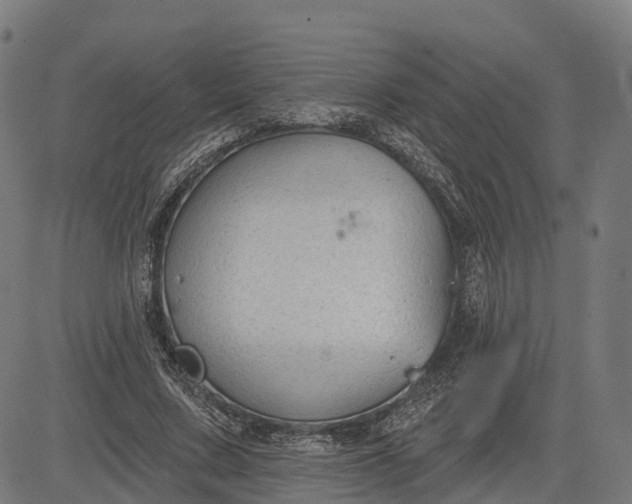 X0000082680683200702091633