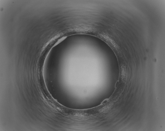 X0000082680684200702091633