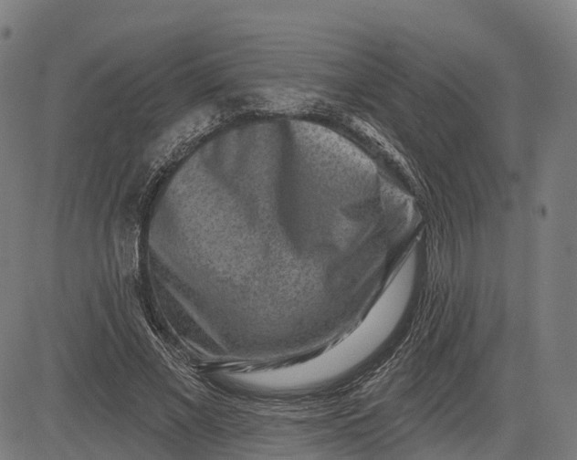 X0000082680685200702091633