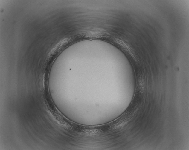 X0000082680686200702091633