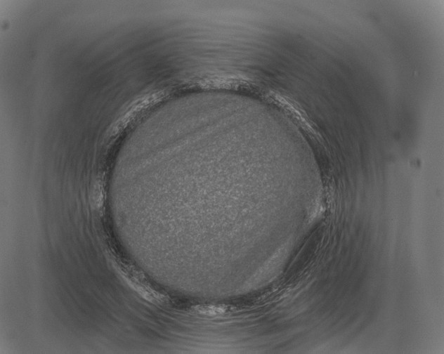 X0000082680687200702091633