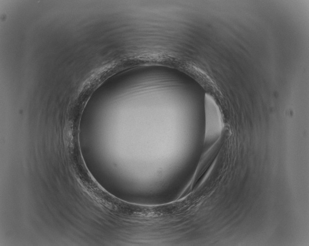 X0000082680688200702091633