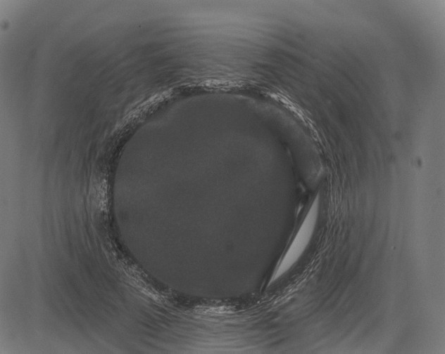 X0000082680689200702091633