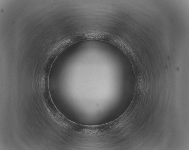 X0000082680690200702091633