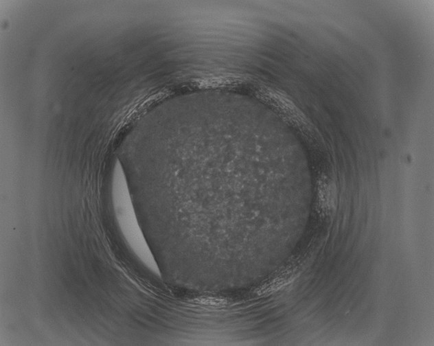 X0000082680691200702091633