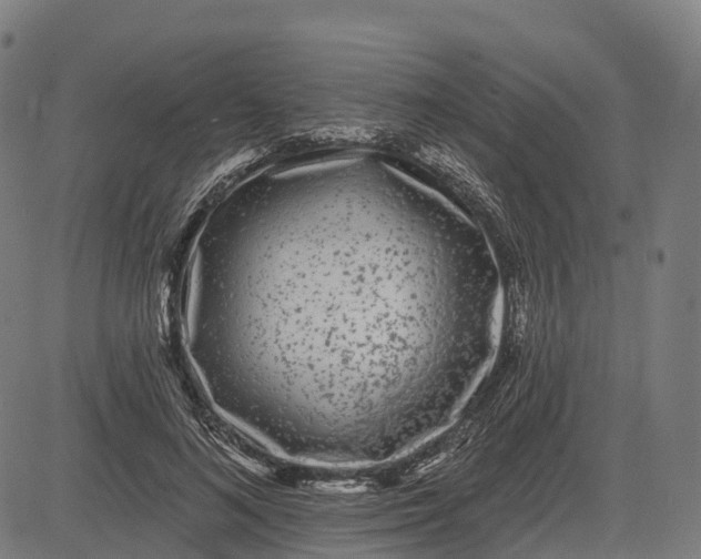 X0000082680692200702091633