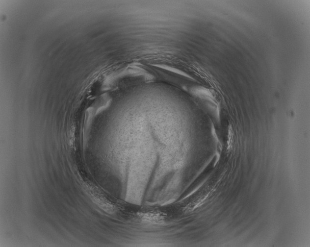 X0000082680693200702091633