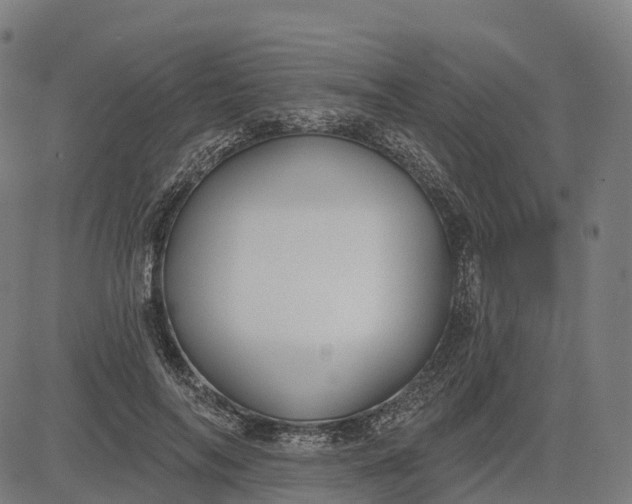 X0000082680694200702091632