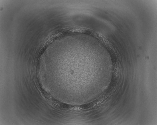 X0000082680695200702091632