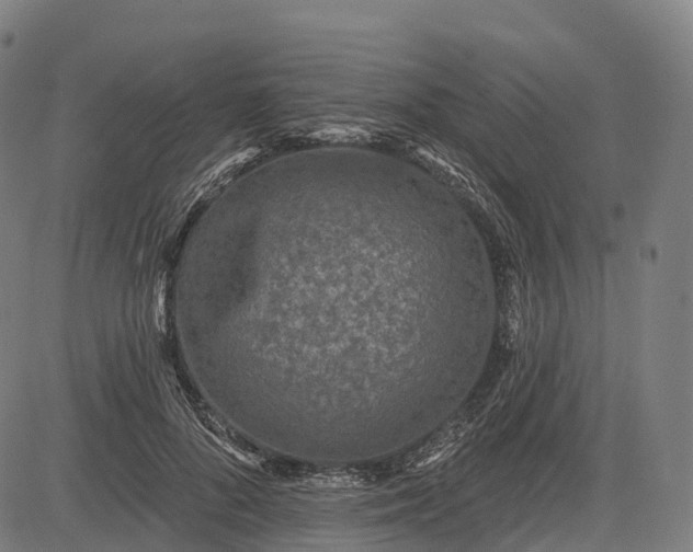 X0000082680696200702091632