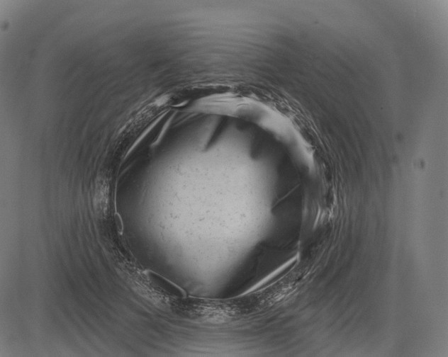 X0000082680697200702091632