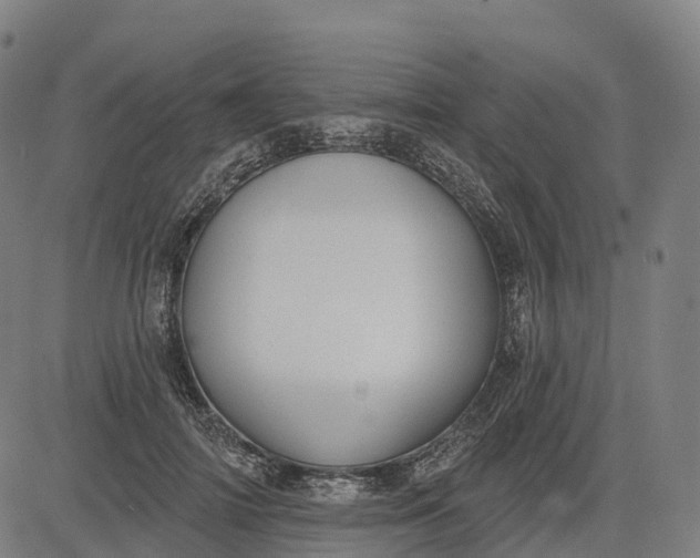 X0000082680698200702091632