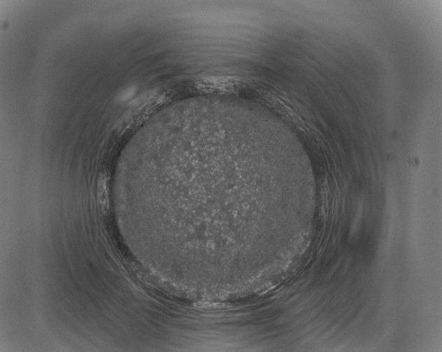 X0000082680699200702091632