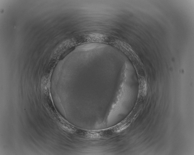 X0000082680701200702091632