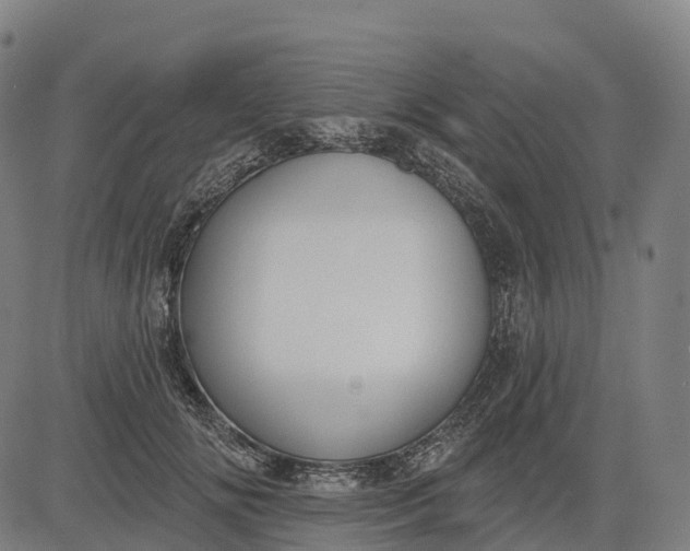 X0000082680702200702091632