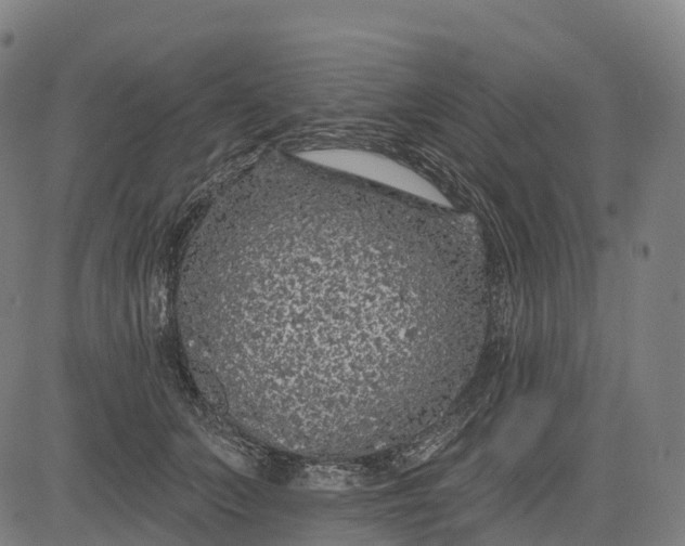 X0000082680703200702091632