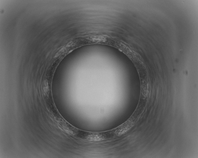 X0000082680704200702091632