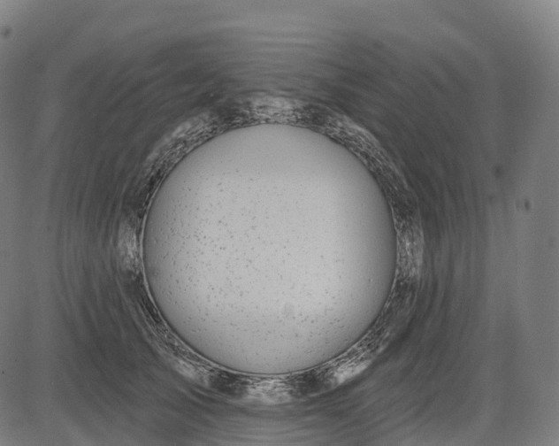 X0000082680705200702091632