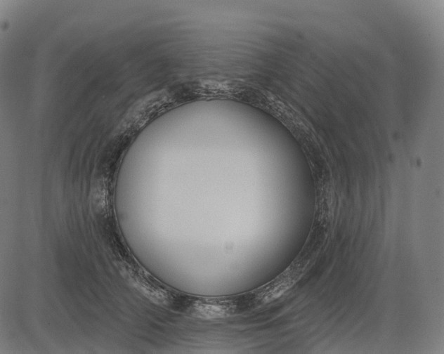 X0000082680706200702091632