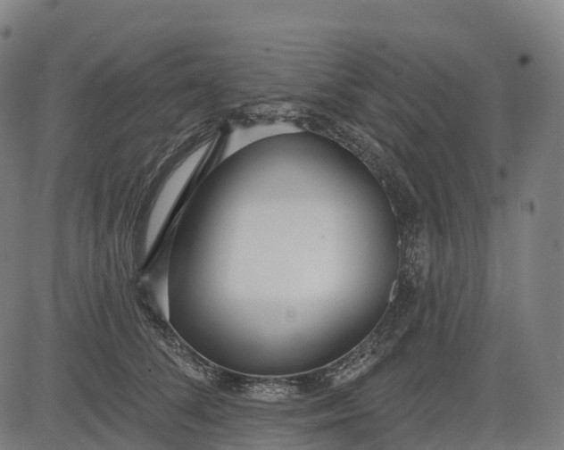 X0000082680708200702091632