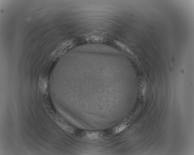 X0000082680709200702091632