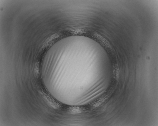 X0000082680710200702091632