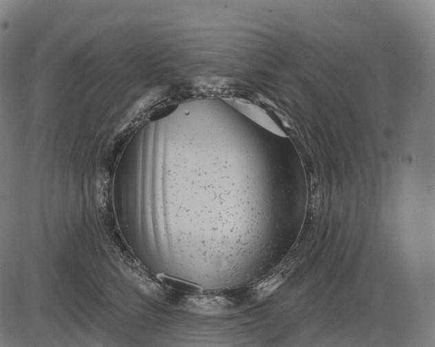 X0000082680712200702091632