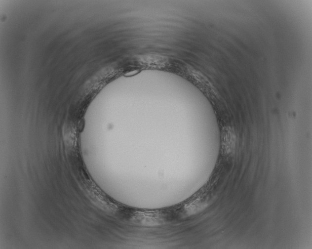 X0000082680713200702091632