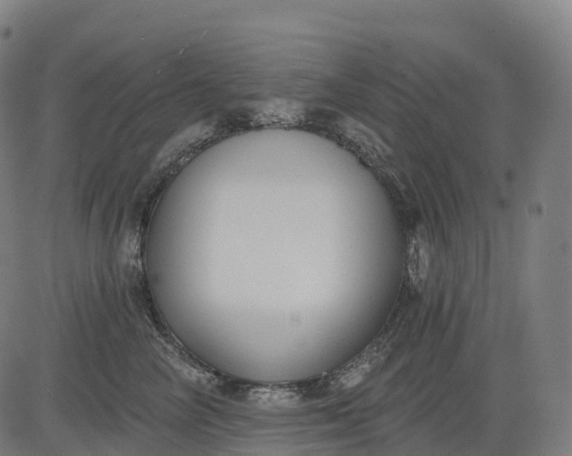 X0000082680714200702091632