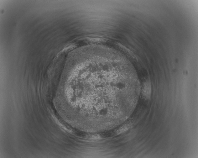 X0000082680715200702091632