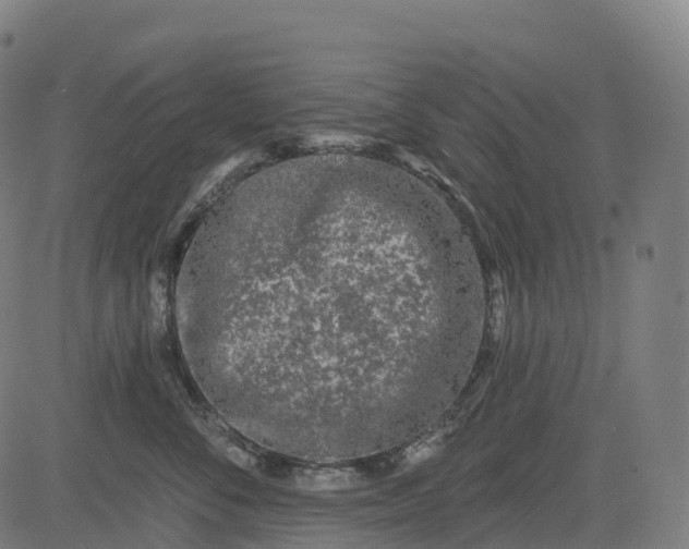 X0000082680716200702091632