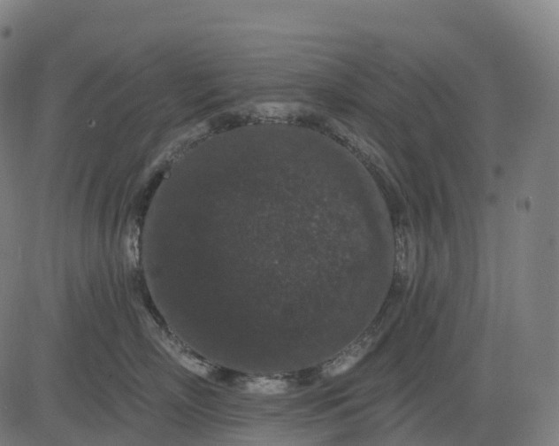 X0000082680718200702091632