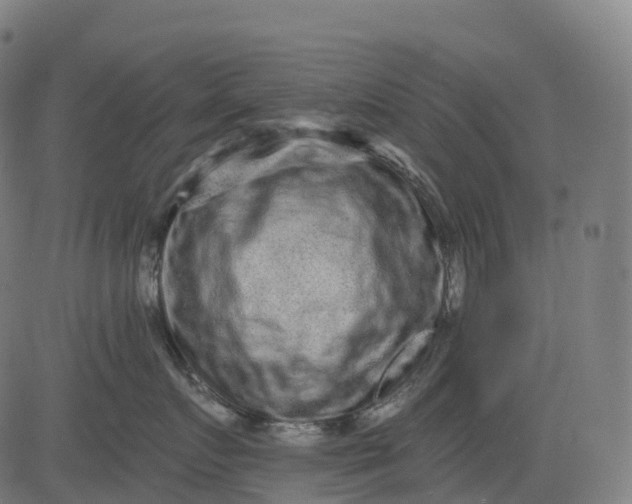 X0000082680719200702091632