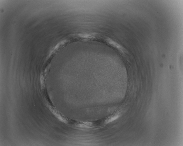 X0000082680720200702091632