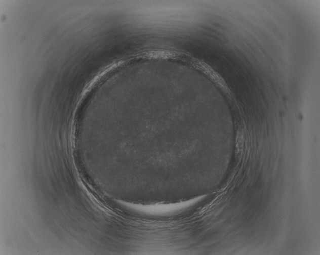 X0000082680722200702091631