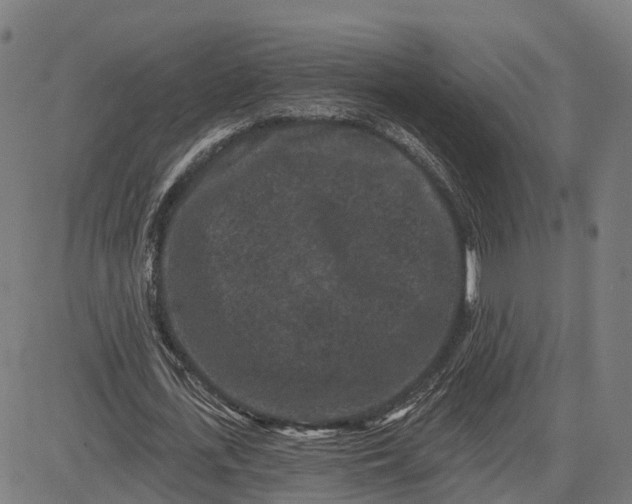 X0000082680723200702091631