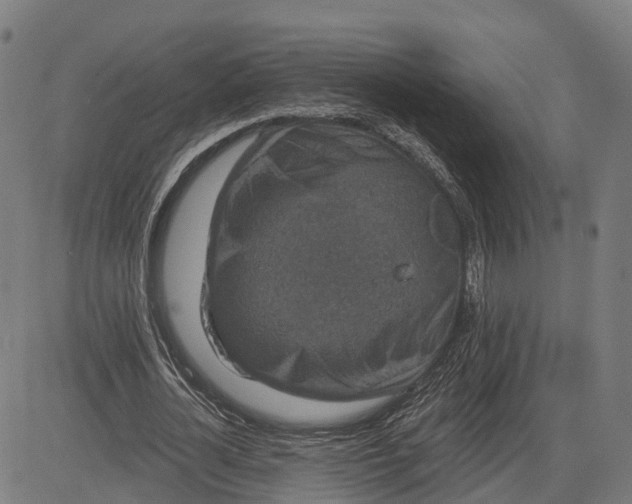 X0000082680724200702091631