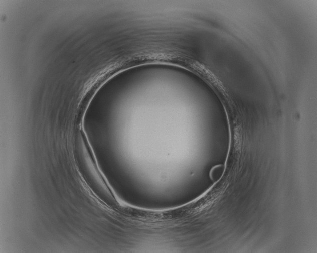 X0000082680725200702091631