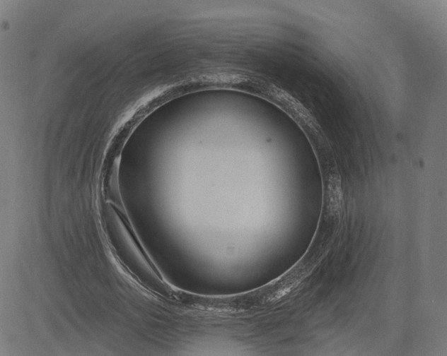 X0000082680726200702091631