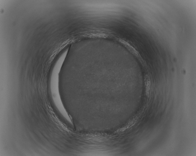 X0000082680729200702091631