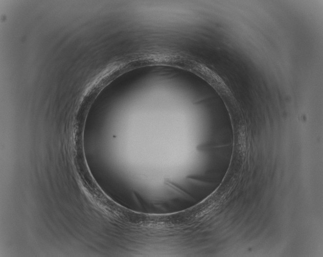 X0000082680730200702091631