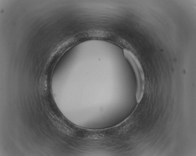 X0000082680731200702091631