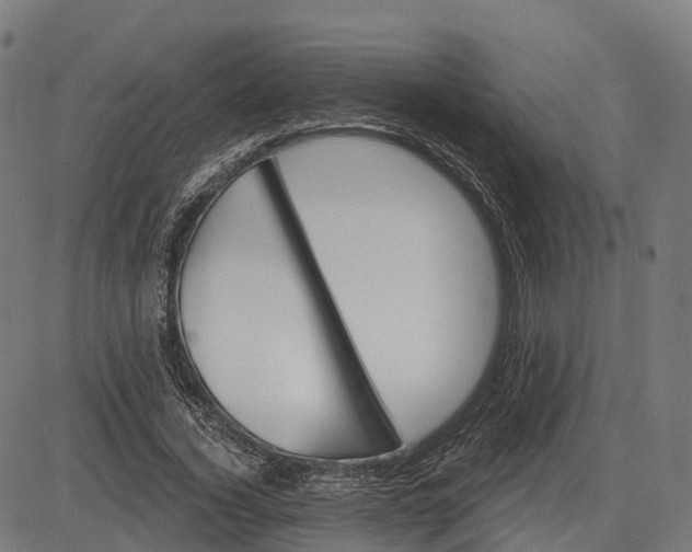 X0000082680732200702091631