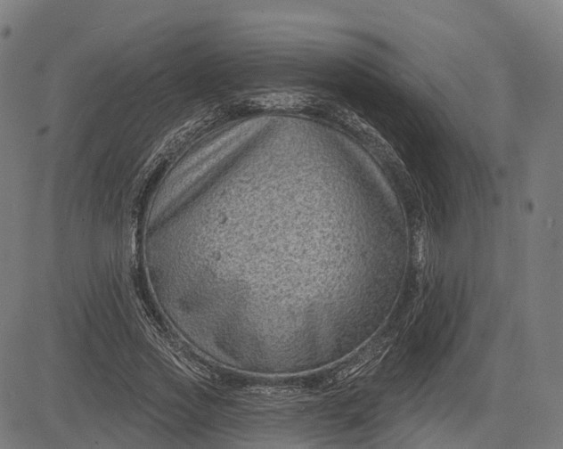 X0000082680733200702091631