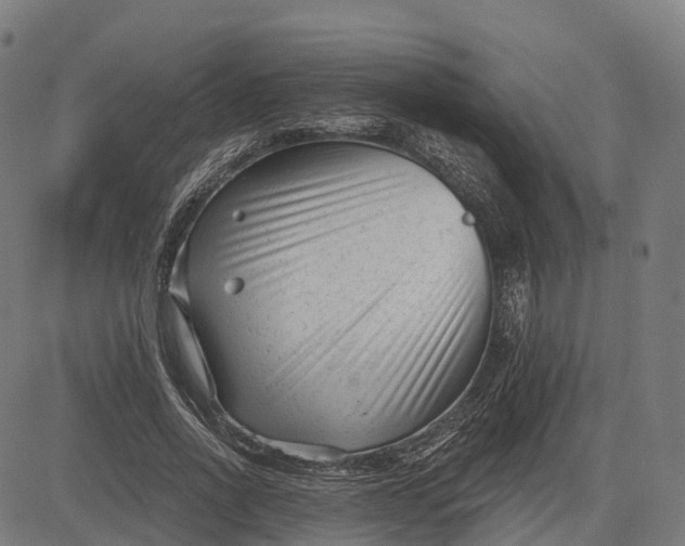 X0000082680734200702091632